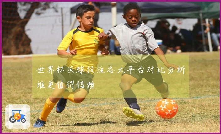 世界杯买球投注各大平台对比分析谁更值得信赖