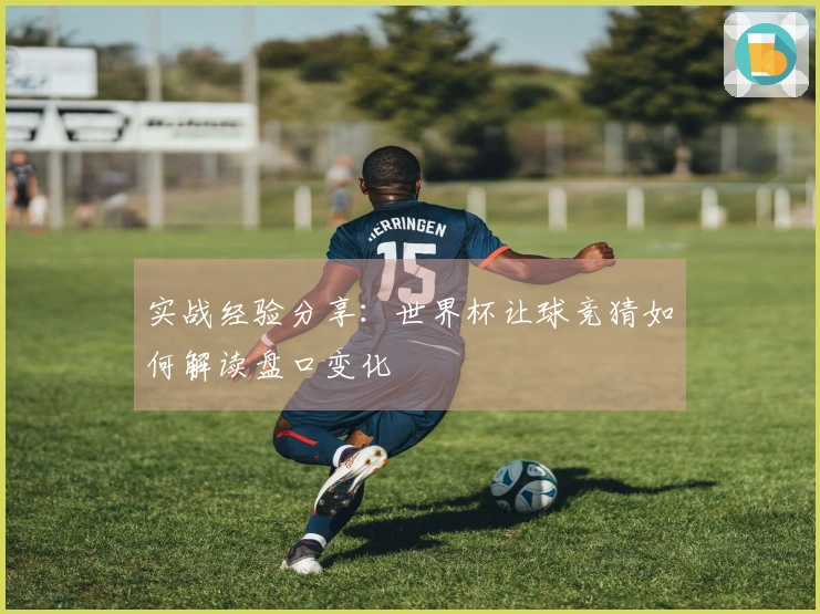 实战经验分享：世界杯让球竞猜如何解读盘口变化