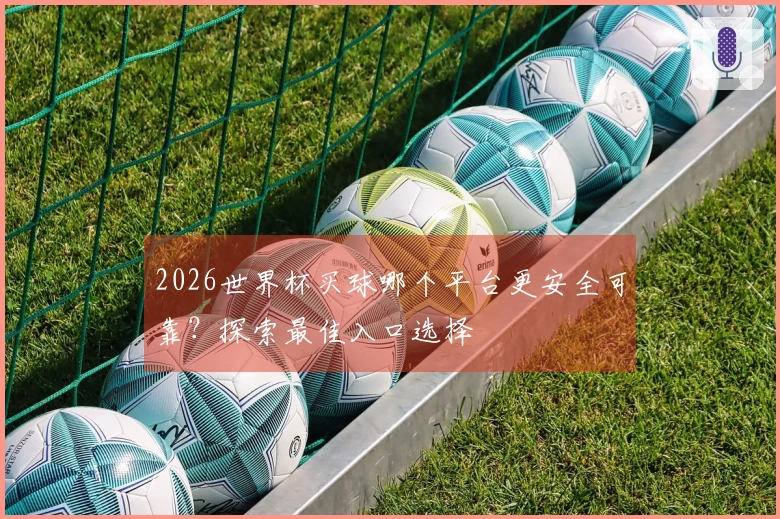 2026世界杯买球哪个平台更安全可靠？探索最佳入口选择