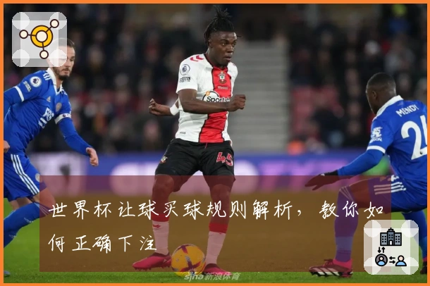 世界杯让球买球规则解析，教你如何正确下注