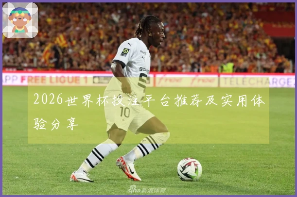 2026世界杯投注平台推荐及实用体验分享