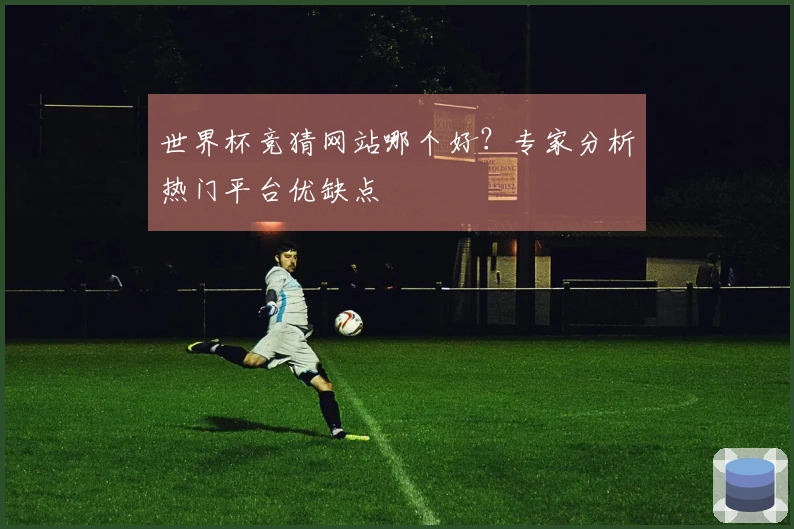 世界杯竞猜网站哪个好？专家分析热门平台优缺点