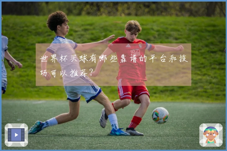 世界杯买球有哪些靠谱的平台和技巧可以推荐？