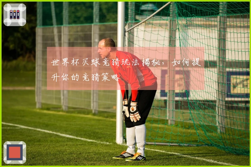 世界杯买球竞猜玩法揭秘，如何提升你的竞猜策略